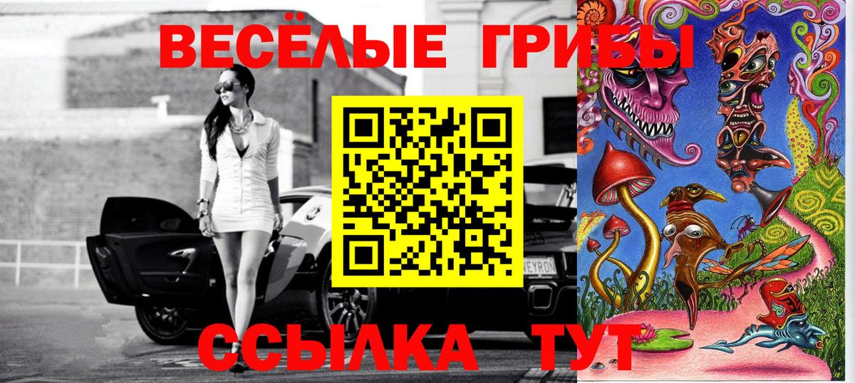 Псилоцибиновые грибы Psilocybe  Вход с VPN  закладки  Ревда 